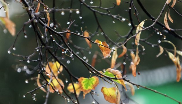 В Україну йде похолодання, подекуди - дощі з мокрим снігом