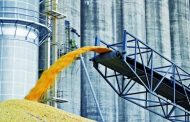 Egypt wants to buy more Ukrainian grain – ambassador