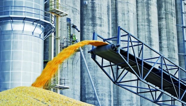 Egypt wants to buy more Ukrainian grain – ambassador