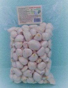 The First Garlic Processing Plant in Ukraine Started Operating2