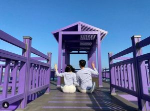 For Attracting Visitors: The Island Resort Is Completely in Purple
