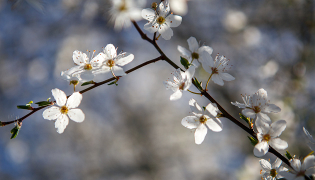 Temperatures rise on April 16 and spring will return again