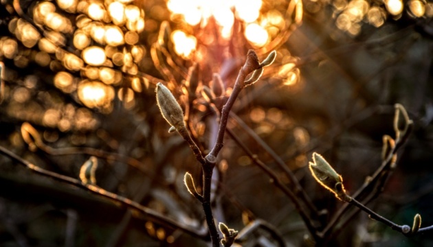 Warm weather will return again in the country