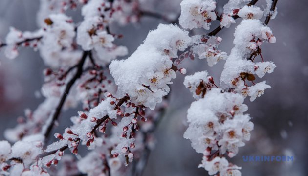 Snow falls in Ukraine at the beginning of the holidays