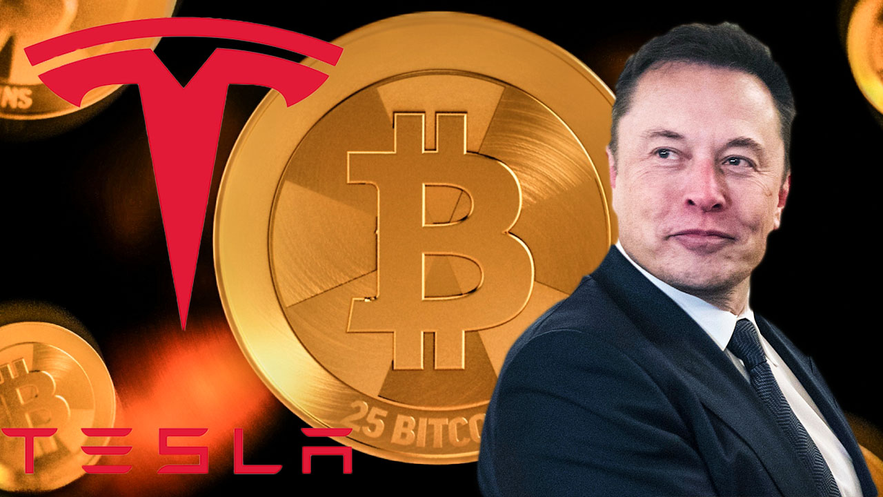 elon crypto currency