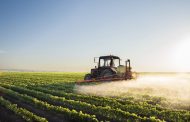 Post-Emergence Herbicide Protection of Soybeans