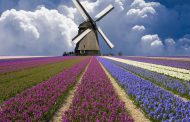 World Windmill and Farmer's Day Is Celebrated Today