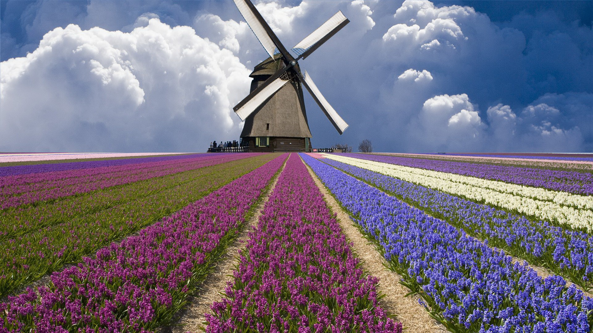 World Windmill and Farmer's Day Is Celebrated Today