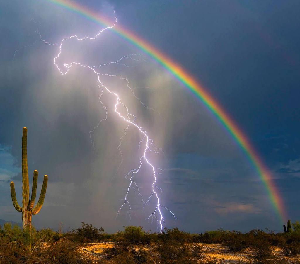 Between Thunderstorms and Heat, Weather Forecast for Today