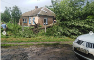 Damaged Roofs and Uprooted Trees in Kosovo