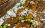 In the Middle of Summer, There Was a Powerful Hail Near Kharkov