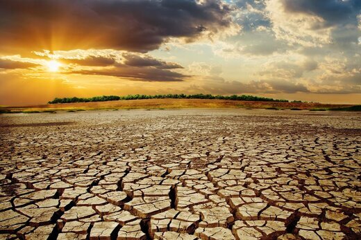 Drought Destroys Agriculture in the Southern Regions of Ukraine