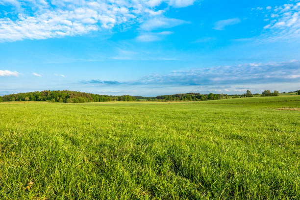 Communities Have Been Given the Right to Manage Land Within Their Own Territory