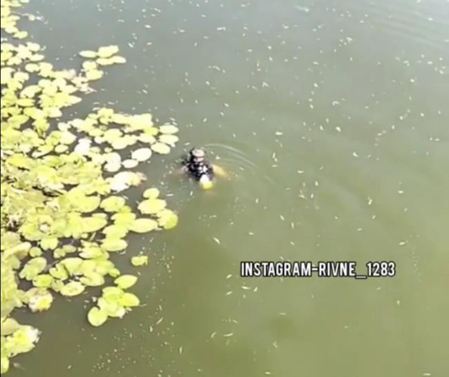 In a Hydro Park, the Diver Looks for Illegal Sewer Pipes