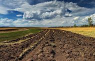 In the Vinnytsia Region, a Tenant Plowed Pastures for UAH 7 Million