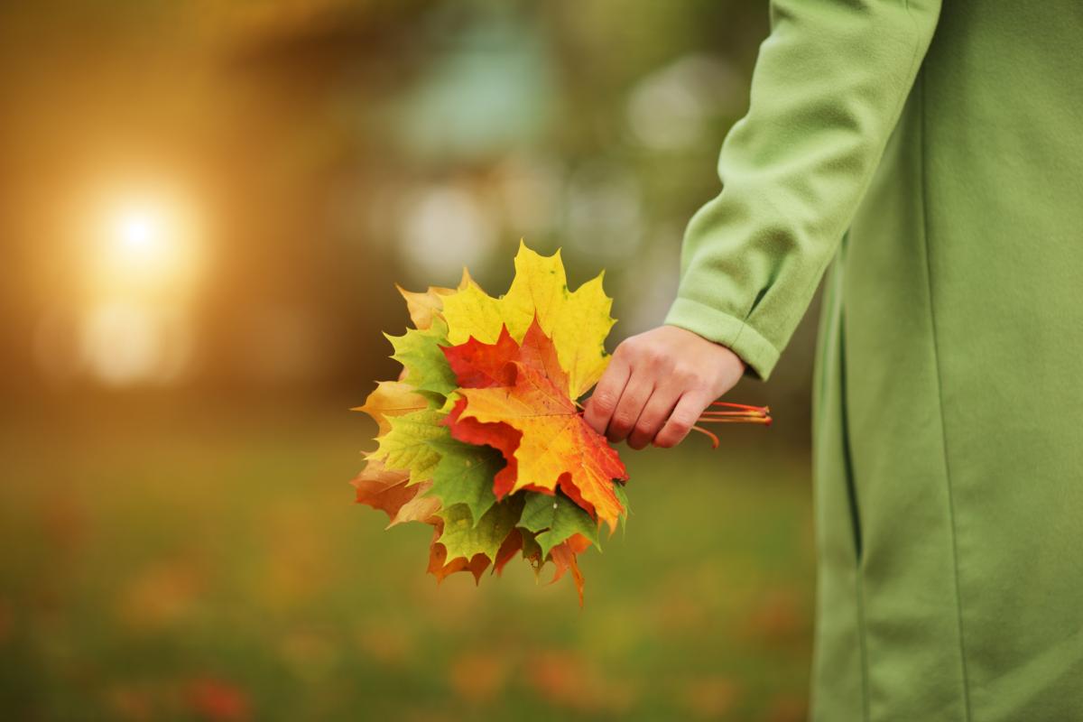 Today in Ukraine There Will Be Warm Weather in Autumn