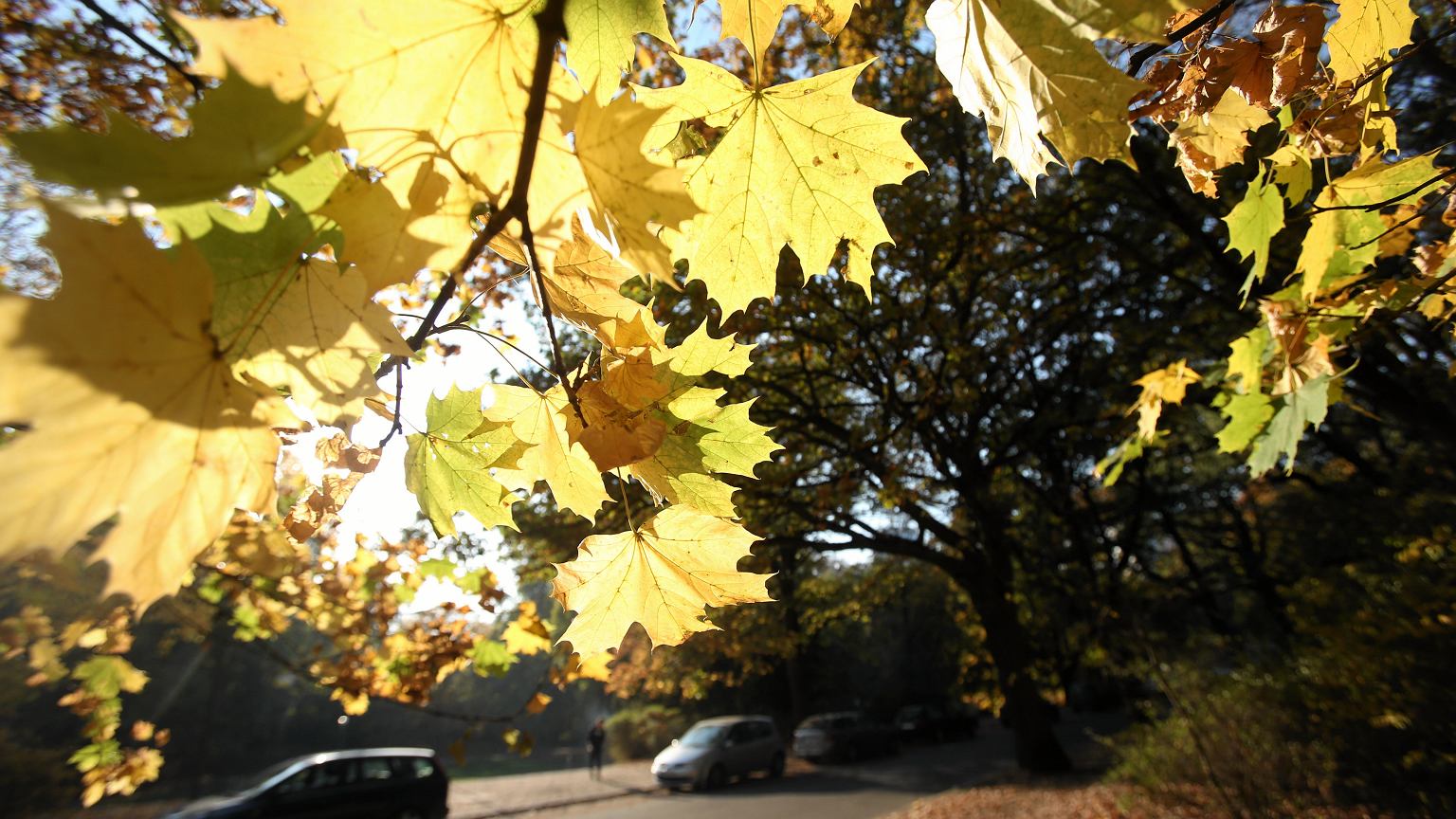 What Weather Awaits Ukrainians on the Last Monday of September