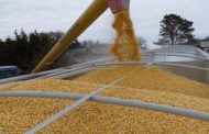 Ukraine's grain exports reached nearly 17.8 million tons