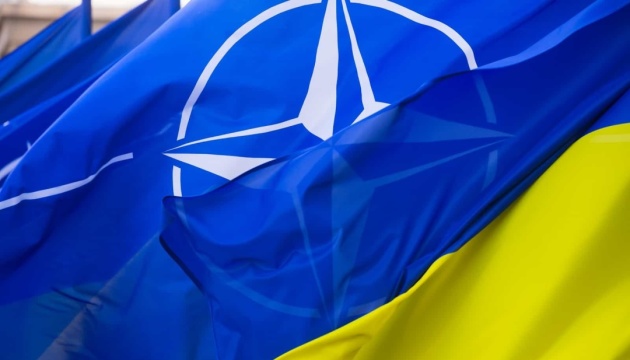 Ukraine's need to comply with standards and seal of support from all allies to join NATO