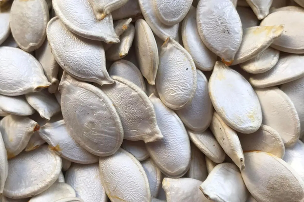 British scientists have said that pumpkin seeds can lower blood sugar