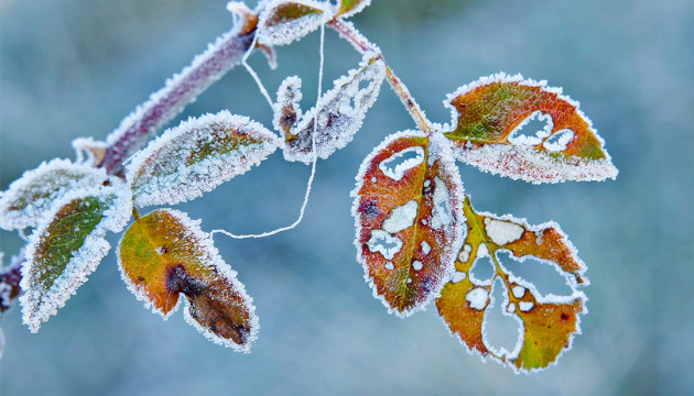 The temperature will drop to 8°C at night