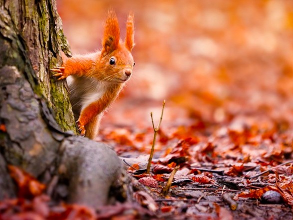 By the end of the week it will be dry and cold - weather forecasters