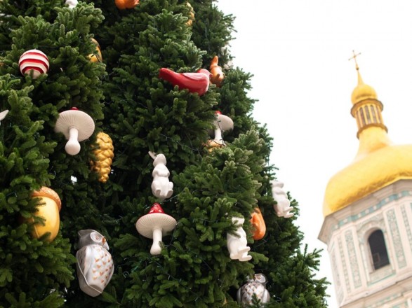 Folk Ukraine has decided which top will decorate the main Christmas tree of the country