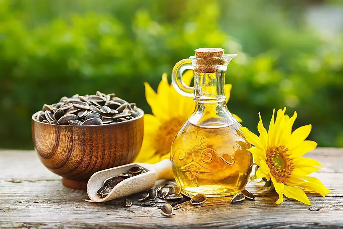 What are the health benefits of sunflower oil