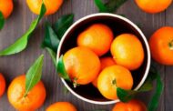 Ukraine has increased mandarin imports by almost half in a year