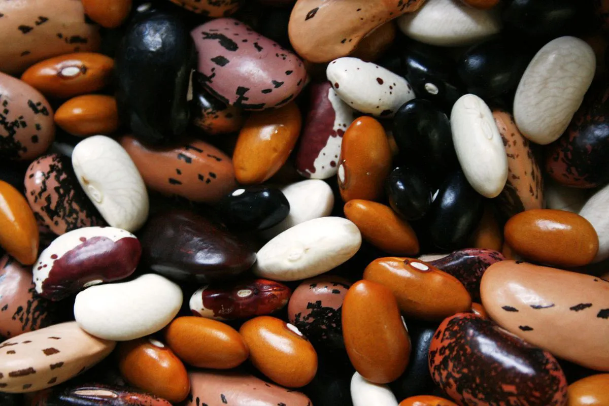 How to properly soak beans before cooking