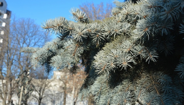 Temperatures rise in some areas on the weekend in Ukraine