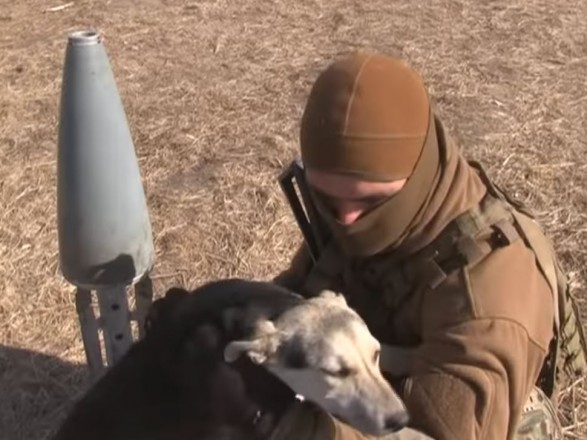 Unexpected guest: sweet hugs with a four-legged defender during a military interview