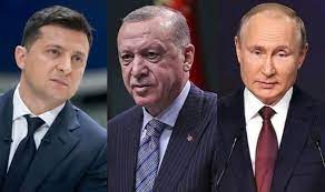 Erdogan discussed grain exports with Zelensky and Putin