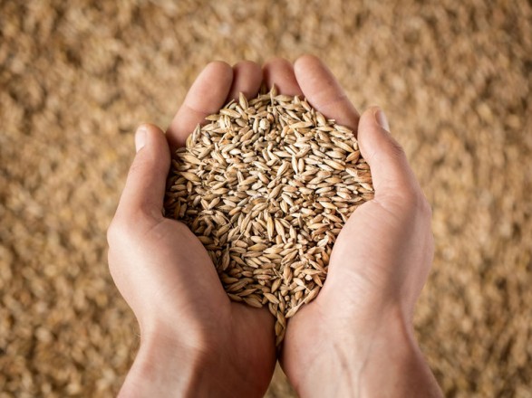 Land exports of Ukrainian grain will not replace full-fledged sea - British intelligence