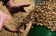 Poland plans to assist Ukraine in exporting grain abroad