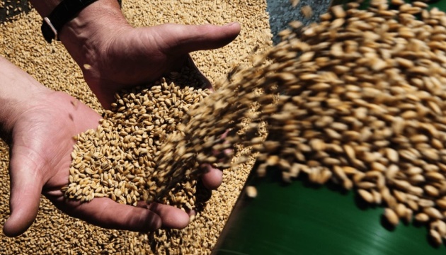 Poland plans to assist Ukraine in exporting grain abroad