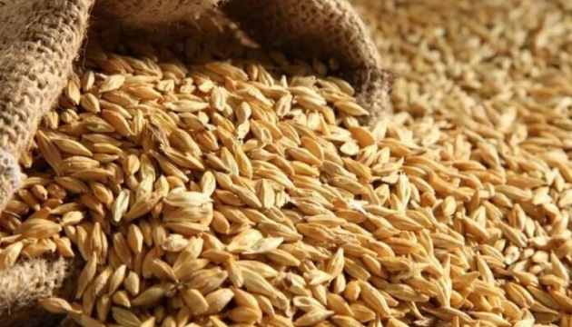 Turkey is negotiating with Ukraine and Russia a corridor for grain exports