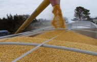 Ukraine exports about 1.5 million tons of grain per month by land