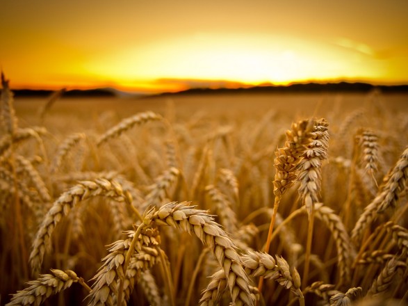 Turkey has announced talks on Ukrainian grain exports between Ukraine, Russia and the United Nations