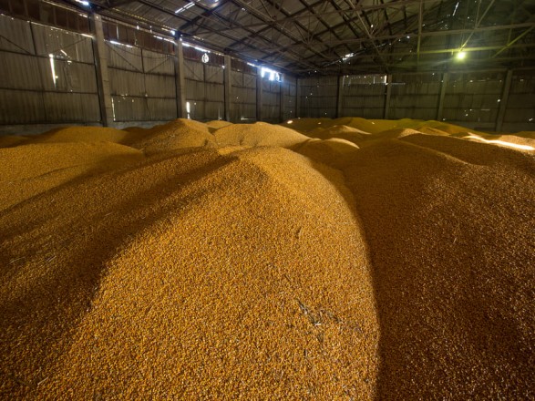 Biden announced the construction of temporary storage facilities along the Ukrainian border for grain exports