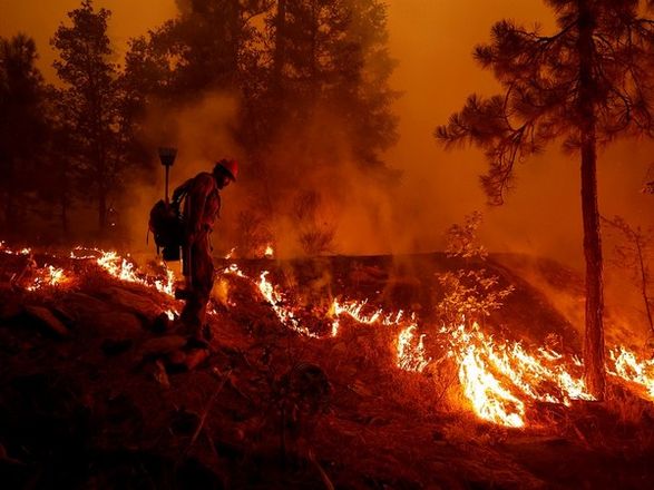 Forest fires continue to spread, burning the coast of France