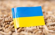 The first ship with Ukrainian grain may leave the port this week - Reuters