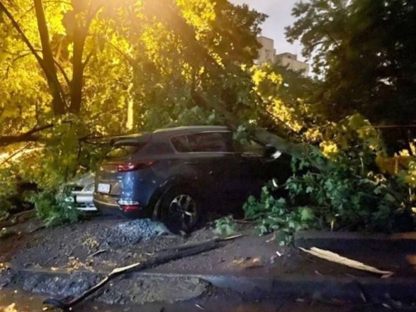 A powerful wind felled trees in the Dnipro