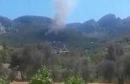 A fire broke out in a Turkish forest in Antalya