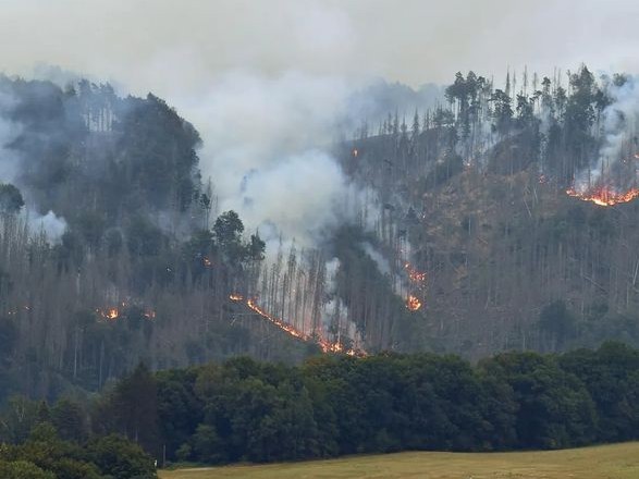 Europe on its way to a new record for wildfires