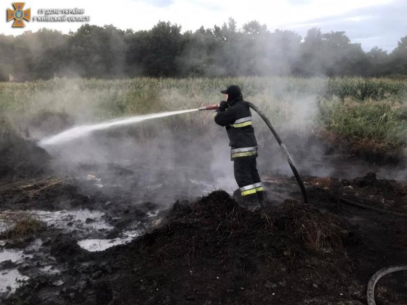 The air in the capital is in good condition despite the fire in the peatlands near Kyiv