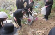 An ancient Jewish cemetery was  excavated in Uman