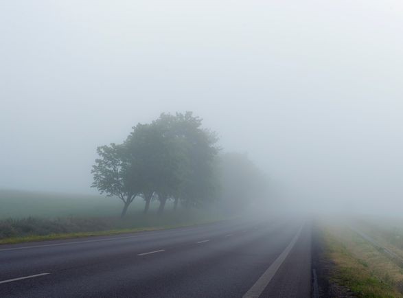 Rains and fogs: forecasters gave the weather forecast for tomorrow