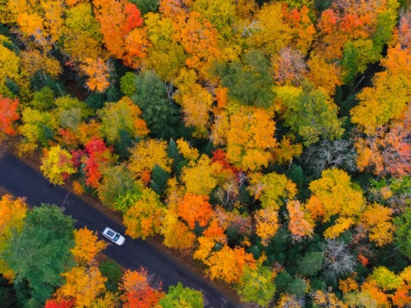 It will get colder in Ukraine from the middle of the week - weather forecasters