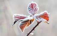 In the west, frost, in the south to 16° heat: what will be the weather like tomorrow